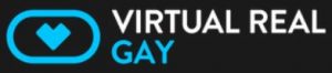 virtualrealgay logo